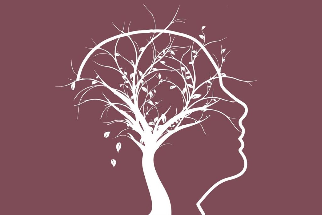 sagoma testa cervello albero