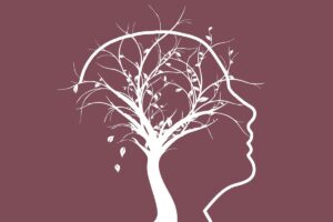 sagoma testa cervello albero